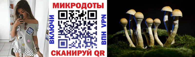 Псилоцибиновые грибы прущие грибы  Вольск 